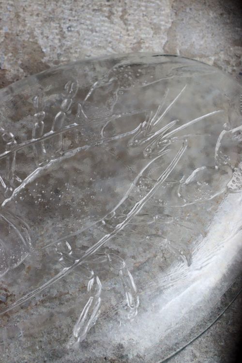 zielone-migdaly-06-0269